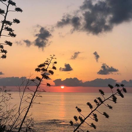 "Suliscenti" Dimora Siciliana B&B Avola Ngoại thất bức ảnh